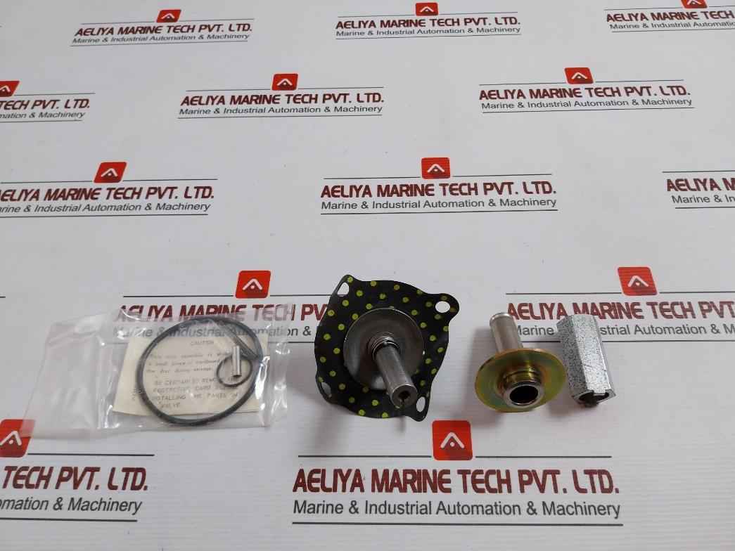 Asco 302333 Valve Rebuild Kit