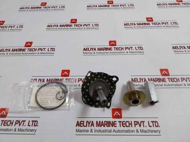 Asco 302333 Valve Rebuild Kit