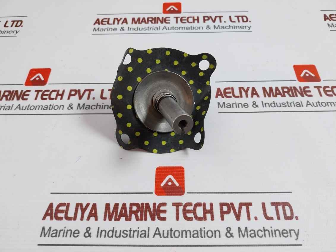 Asco 302333 Valve Rebuild Kit