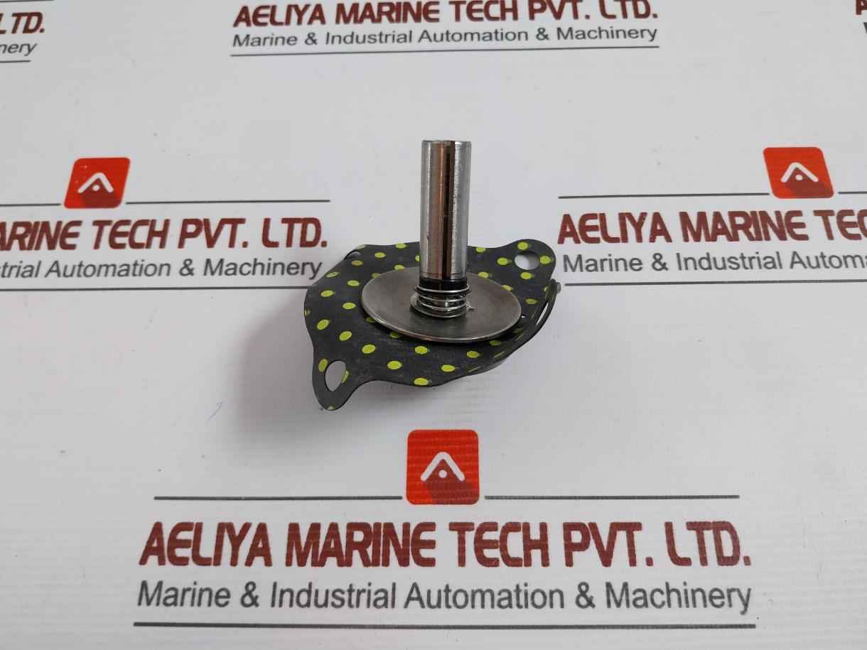 Asco 302333 Valve Rebuild Kit