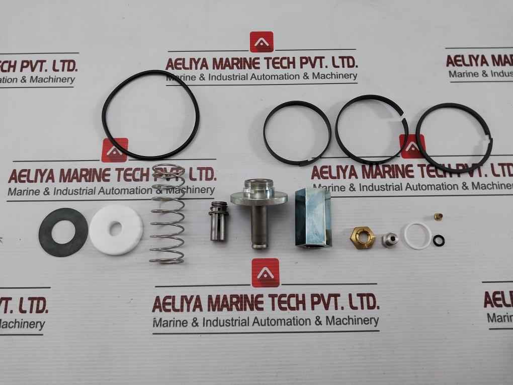 Asco 304044 Red-hat Valve Kit, Spare Part 1”, 8224B24 Solenoid