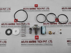 Asco 304044 Red-hat Valve Kit, Spare Part 1”, 8224B24 Solenoid