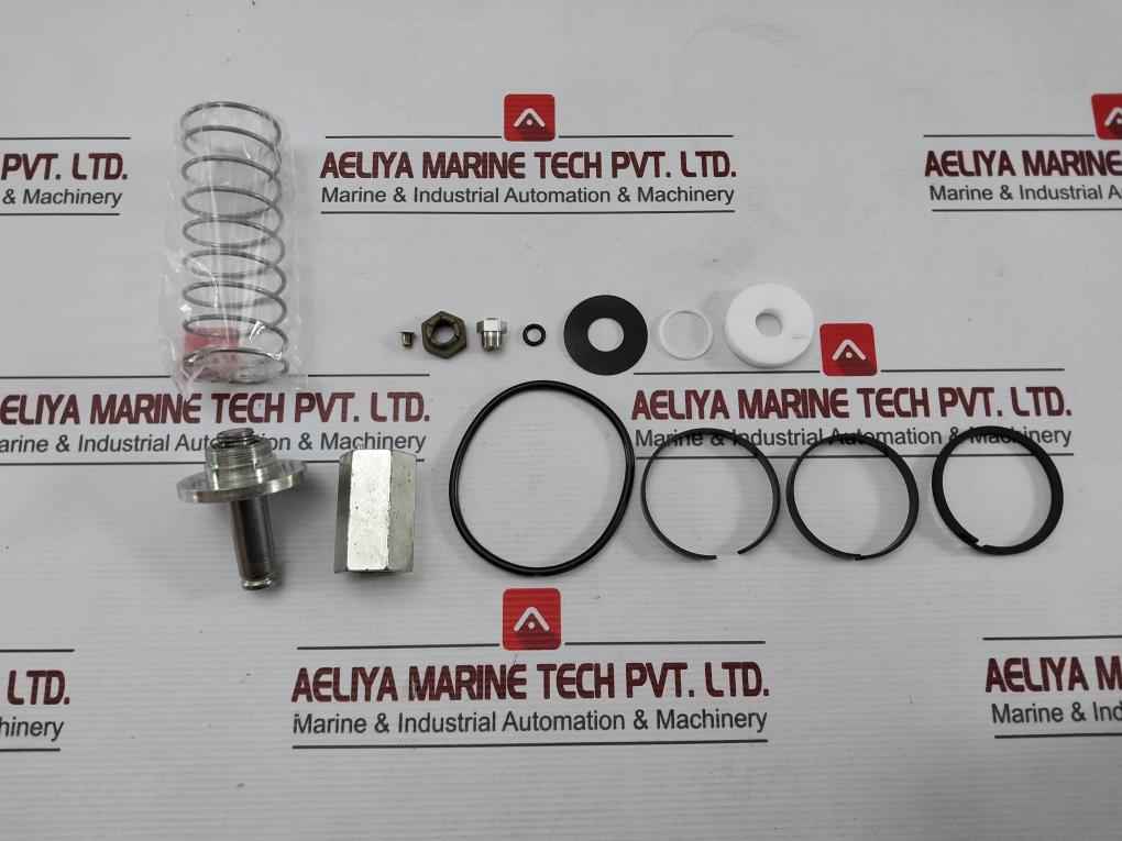 Asco 304046 2-way Internal Pilot-operated Solenoid Valves Rebuild Kit