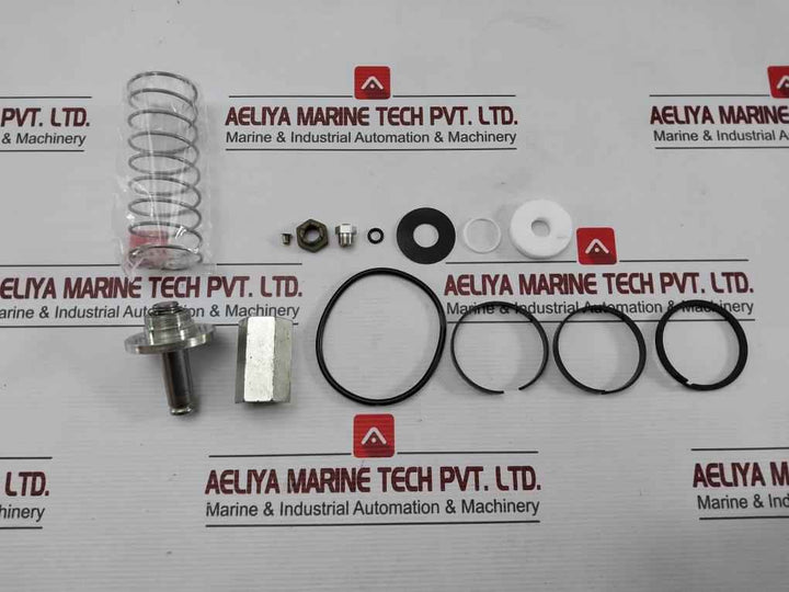 Asco 304046 2-way Internal Pilot-operated Solenoid Valves Rebuild Kit