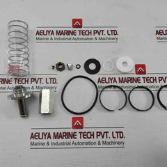 Asco 304046 2-way Internal Pilot-operated Solenoid Valves Rebuild Kit