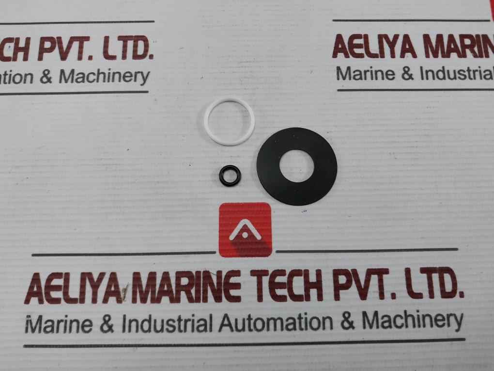 Asco 304046 2-way Internal Pilot-operated Solenoid Valves Rebuild Kit