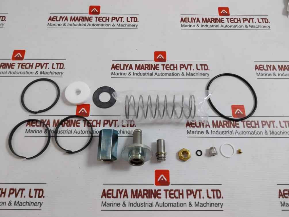 Asco 304046 Rebuild Kit F/ Valve 8222B28 1-1/2