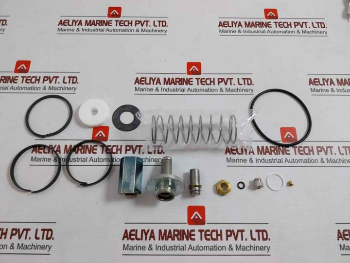 Asco 304046 Rebuild Kit F/ Valve 8222B28 1-1/2
