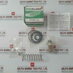 Asco 304046 Rebuild Kit Series 8003