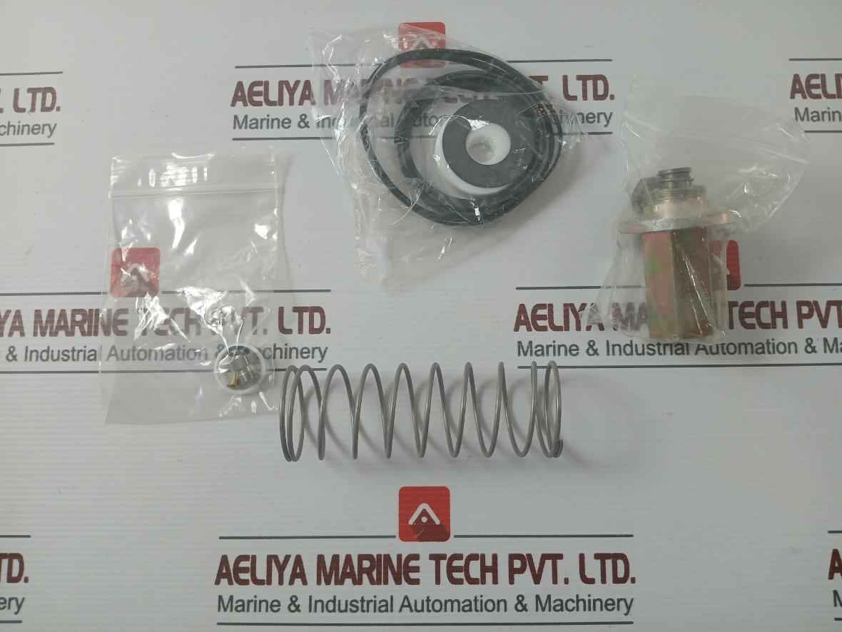 Asco 304046 Rebuild Kit Series 8003