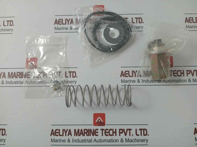 Asco 304046 Rebuild Kit Series 8003
