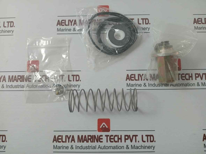 Asco 304046 Rebuild Kit Series 8003
