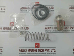 Asco 304046 Rebuild Kit Series 8003