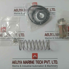 Asco 304046 Rebuild Kit Series 8003