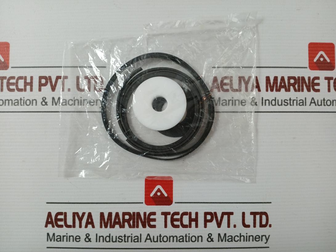 Asco 304046 Rebuild Kit Series 8003