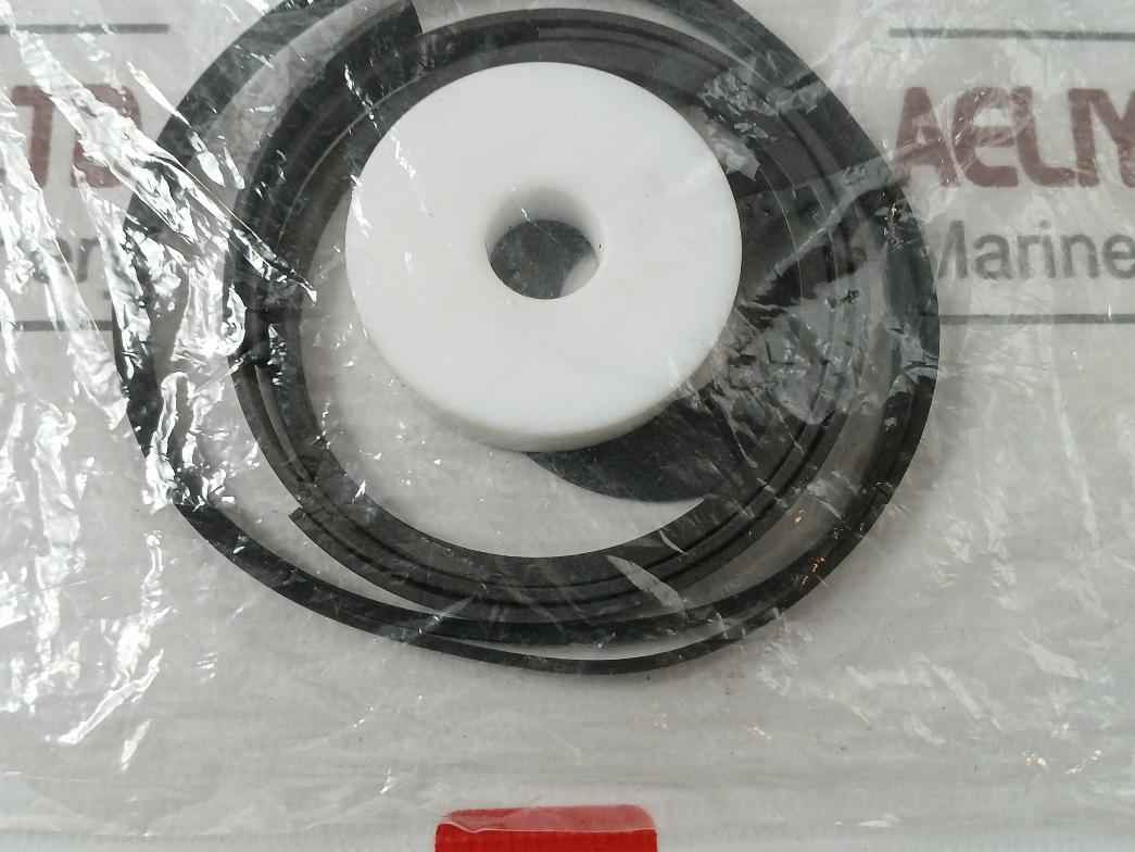 Asco 304046 Rebuild Kit Series 8003