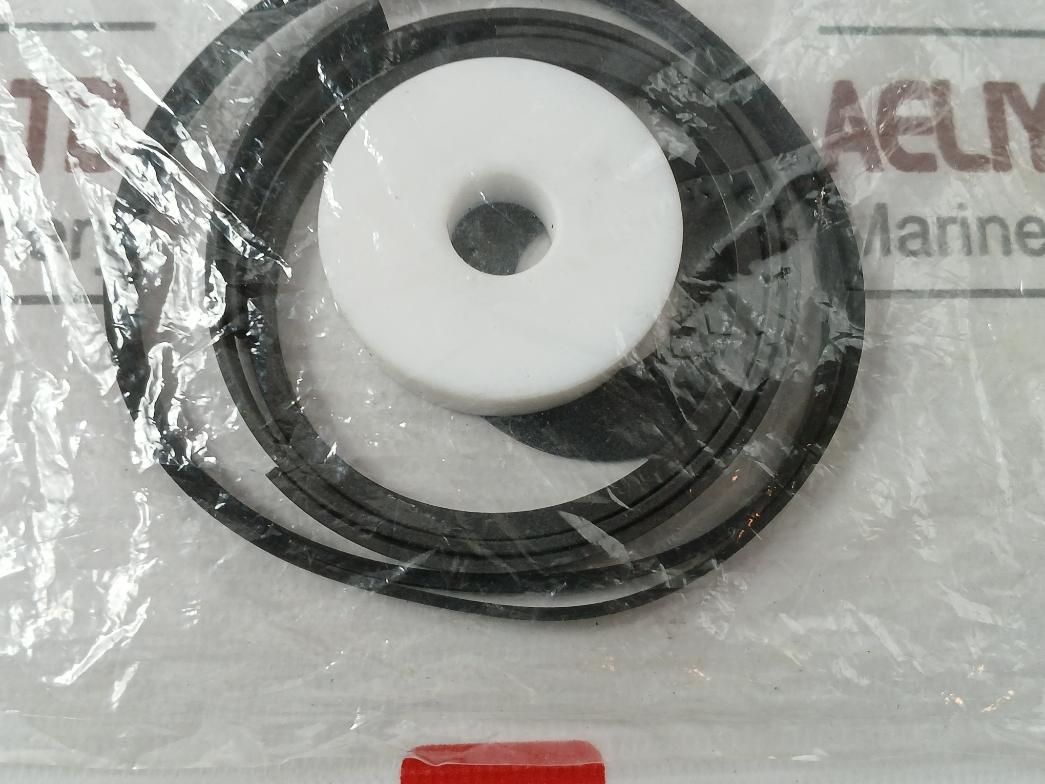 Asco 304046 Rebuild Kit Series 8003