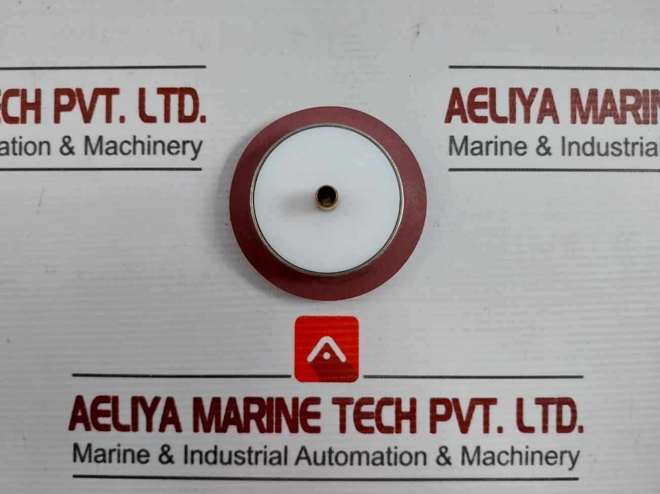 Asco 304046 Rebuild Kit T586509 Fv-168-891-1