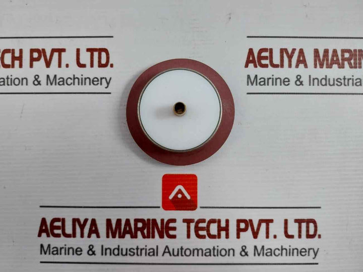 Asco 304046 Rebuild Kit T586509 Fv-168-891-1