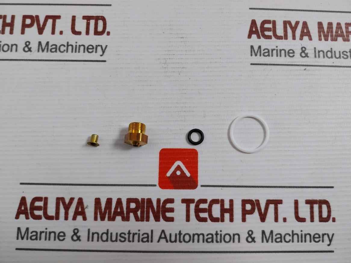 Asco 304046 Rebuild Kit T586509 Fv-168-891-1