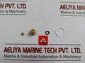 Asco 304046 Rebuild Kit T586509 Fv-168-891-1
