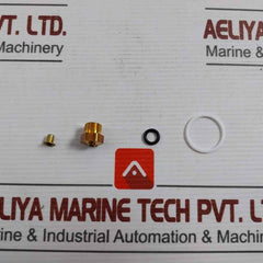Asco 304046 Rebuild Kit T586509 Fv-168-891-1