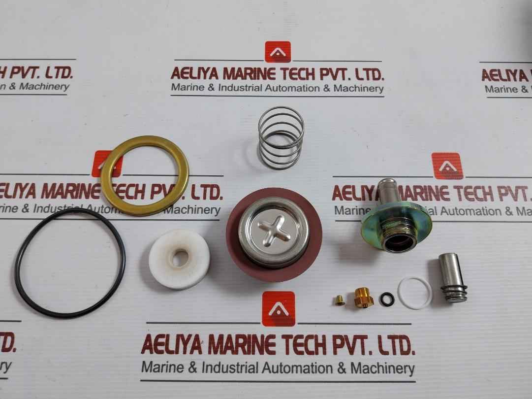 Asco 304046 Rebuild Kit T586509 Fv-168-891-1