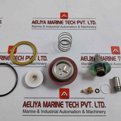 Asco 304046 Rebuild Kit T586509 Fv-168-891-1