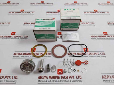 Asco 304393 Valve Rebuild Kit Series 8220 Vv.797.51.76.008