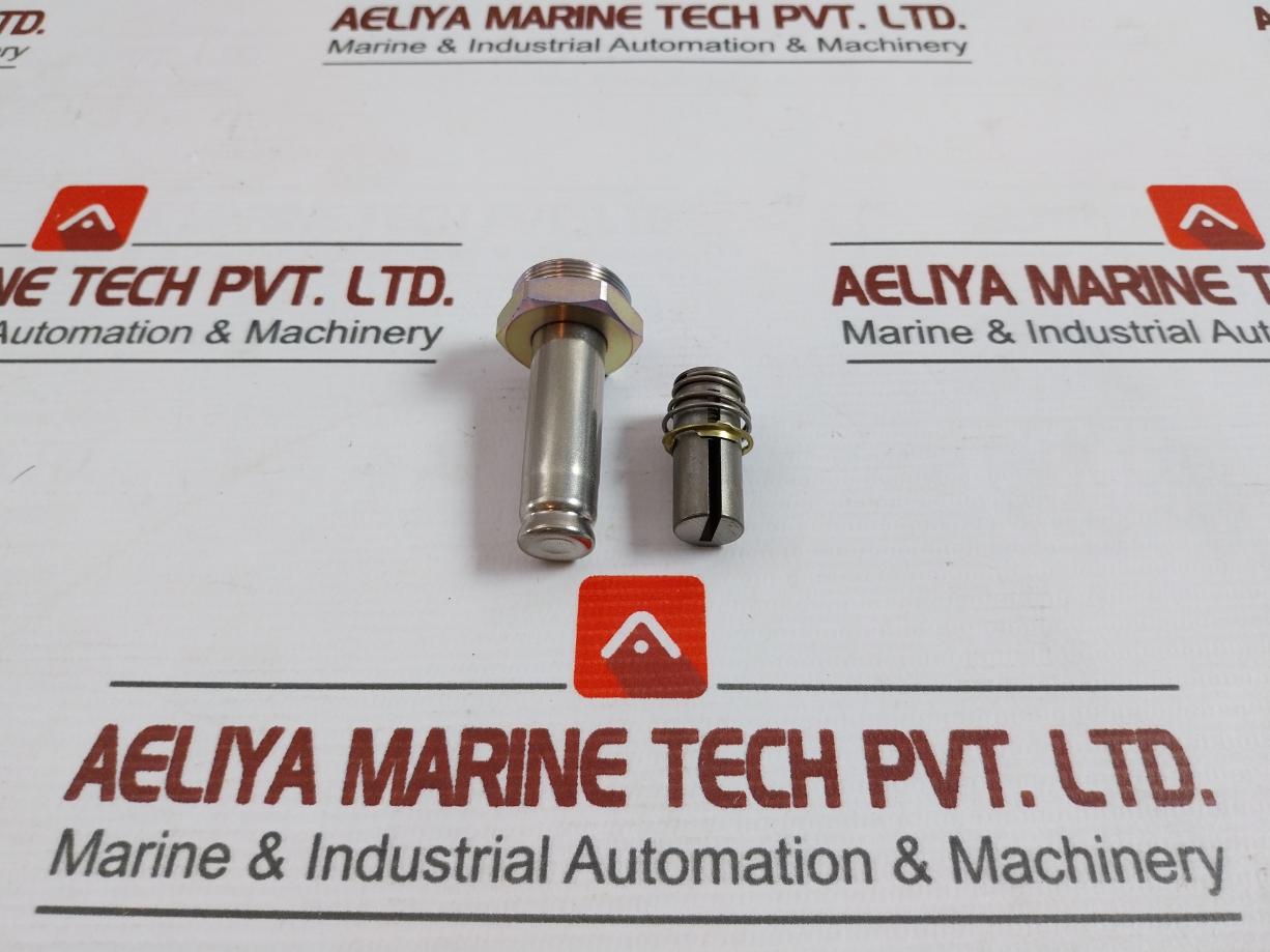 Asco 304393 Valve Rebuild Kit Series 8220 Vv.797.51.76.008