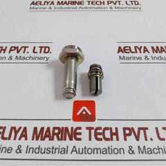 Asco 304393 Valve Rebuild Kit Series 8220 Vv.797.51.76.008