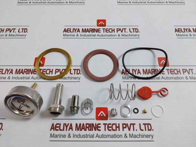 Asco 304393 Valve Rebuild Kit Series 8220 Vv.797.51.76.008