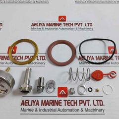 Asco 304393 Valve Rebuild Kit Series 8220 Vv.797.51.76.008