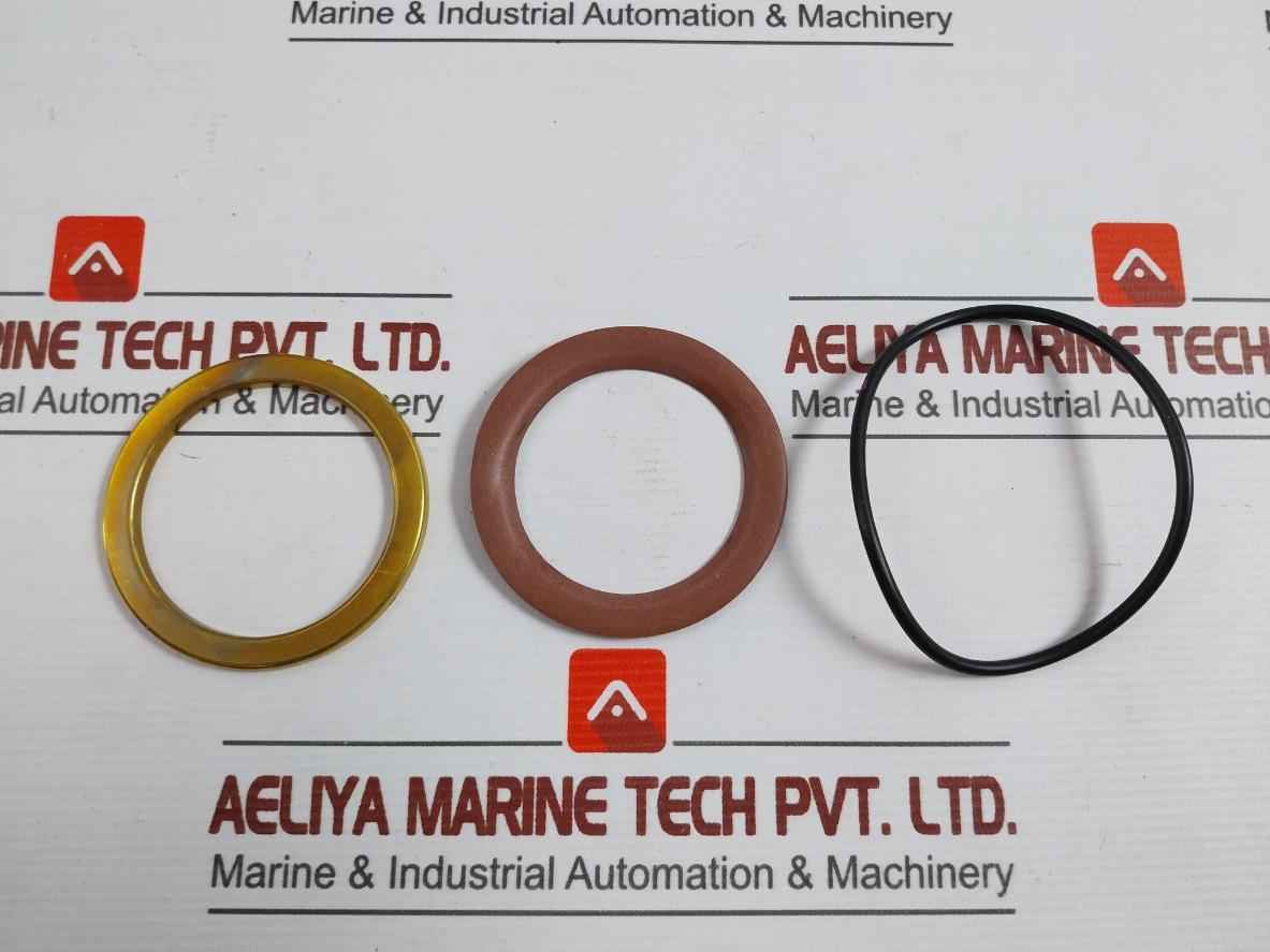 Asco 304393 Valve Rebuild Kit Series 8220 Vv.797.51.76.008