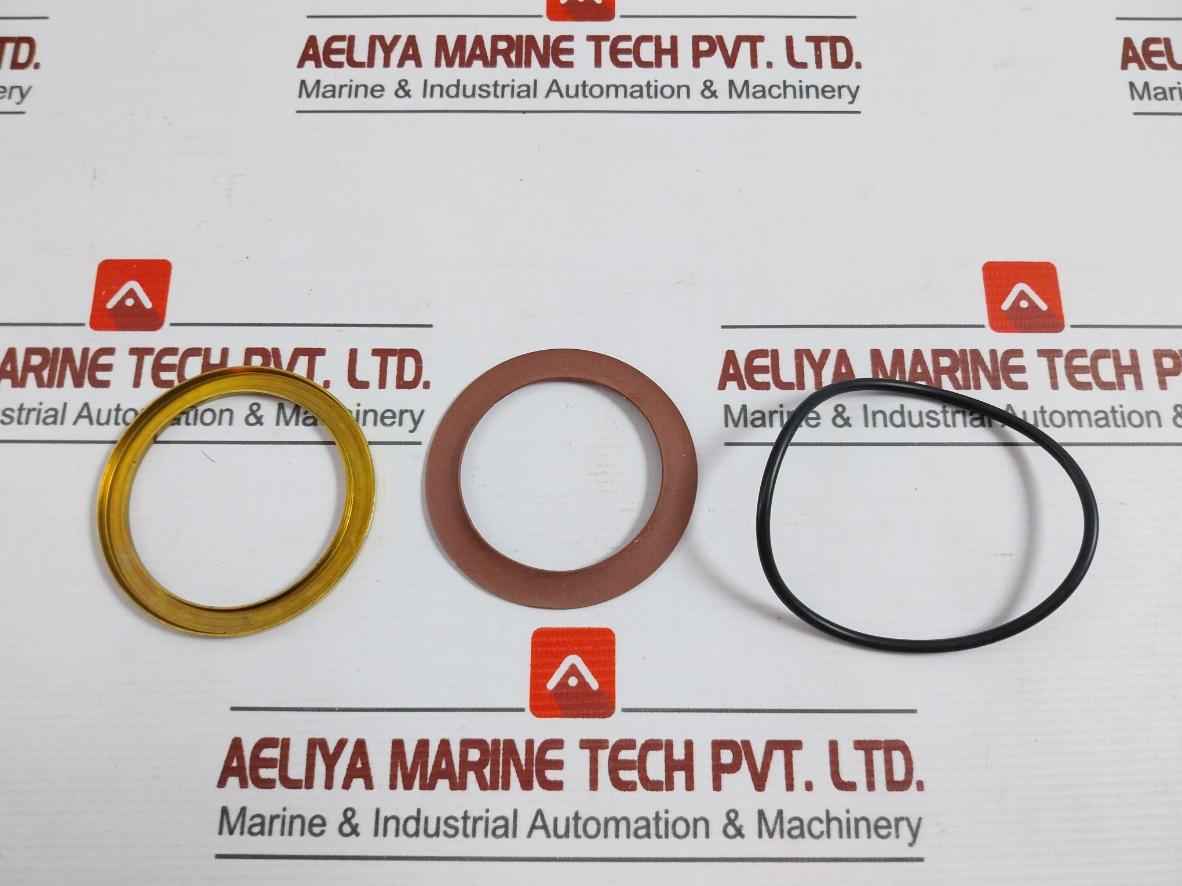 Asco 304393 Valve Rebuild Kit Series 8220 Vv.797.51.76.008