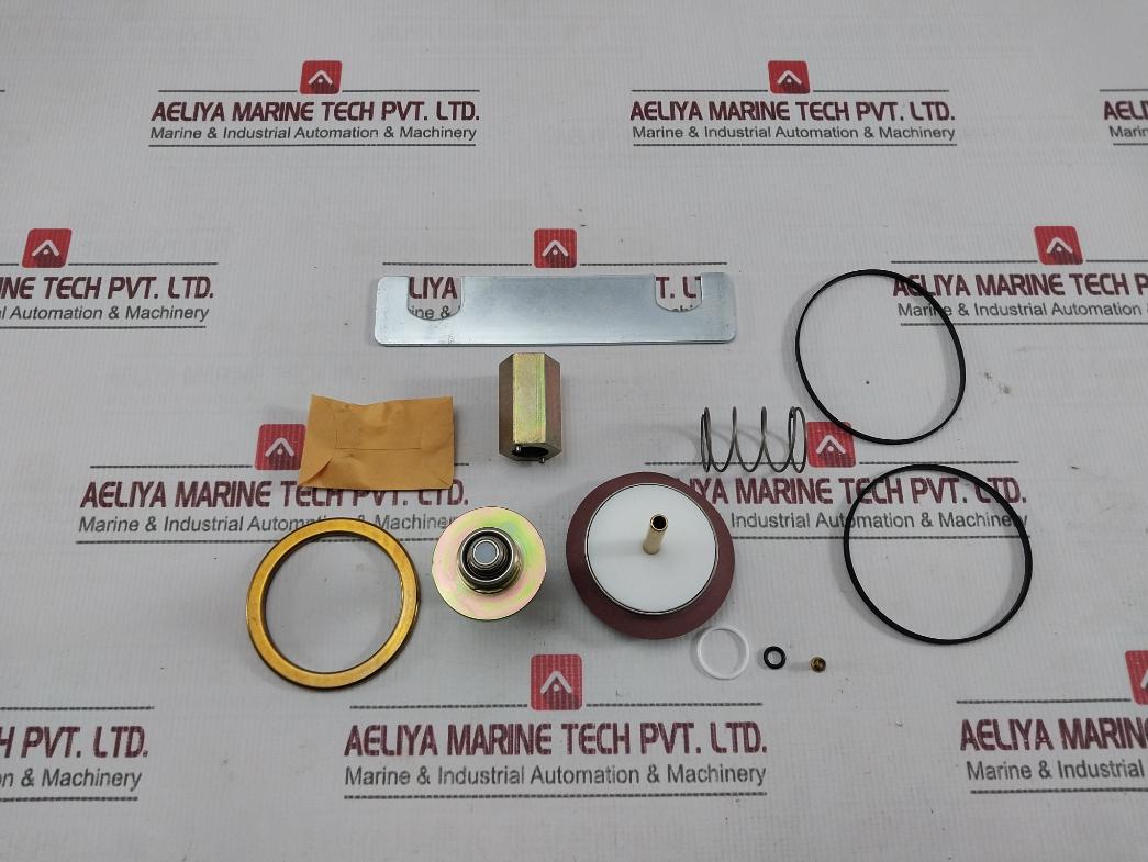 Asco 304397 Solenoid Valve Maintenance Kit