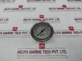 Asco C325316 Pressure Gauge 0-12 Bar