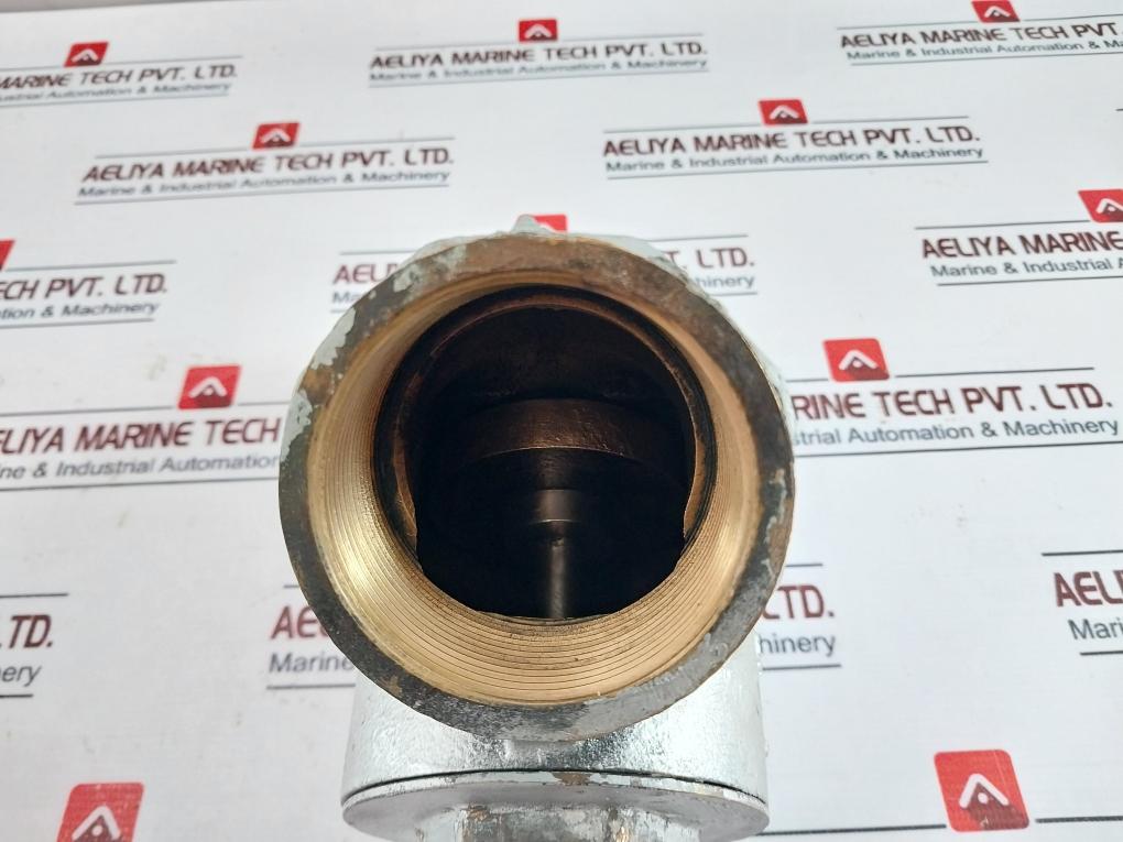Asco E290A024 Drain Valve M003048321 Air/Water (4-10 Bar)