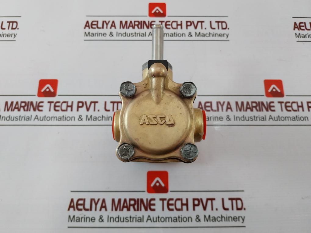 Asco Ef8316G066 Solenoid Valve 238214-032-d 120/60,110/50 Ft
