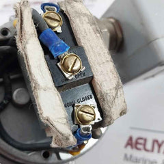 Asco Pressure Switch Tn10A21