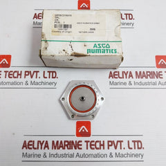 Diaphragm For Pulse Valve Asco Wpisc316816