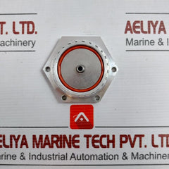 Diaphragm For Pulse Valve Asco Wpisc316816