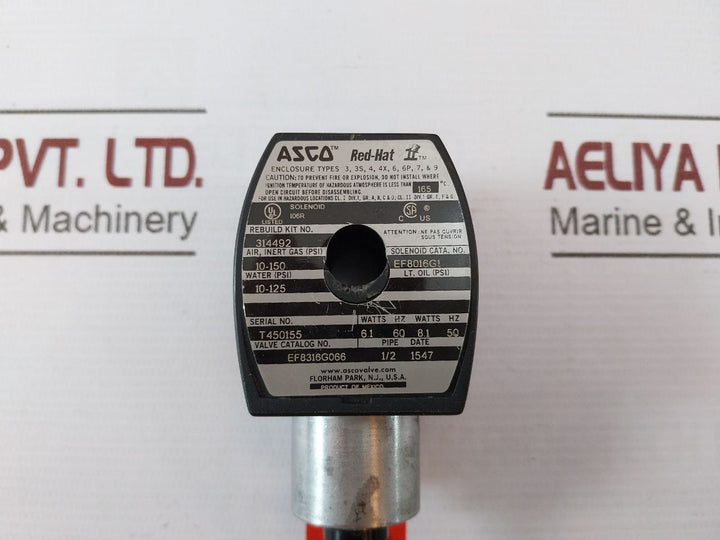 Asco Ef8316G066 Solenoid Valve 238214-032-d 120/60,110/50 Ft