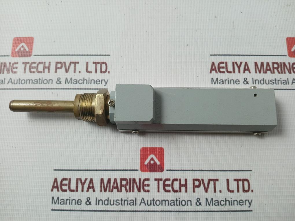 Asia Thermometer 0-100 C