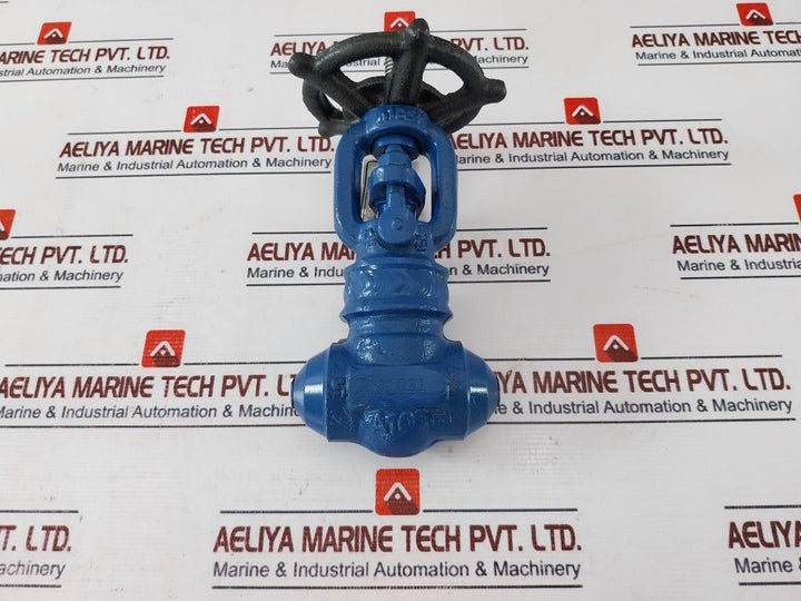 Associated Tooling's 51104N Gate Valve 0.75” (20MM)