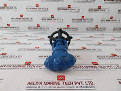 Associated Tooling's 51104N Gate Valve 0.75” (20MM)