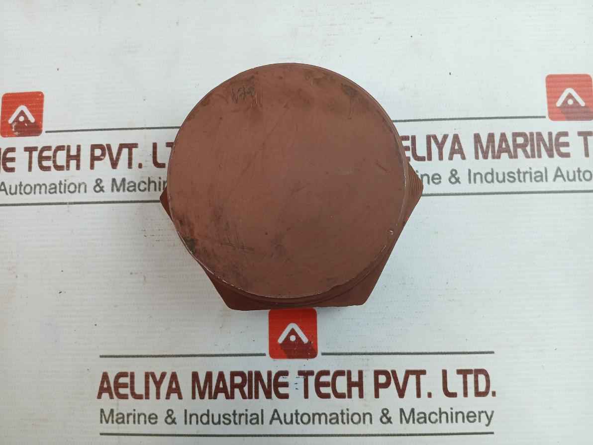 Astm A105 Esp Sch160 3 Npt Carbon Steel Plug 30146878