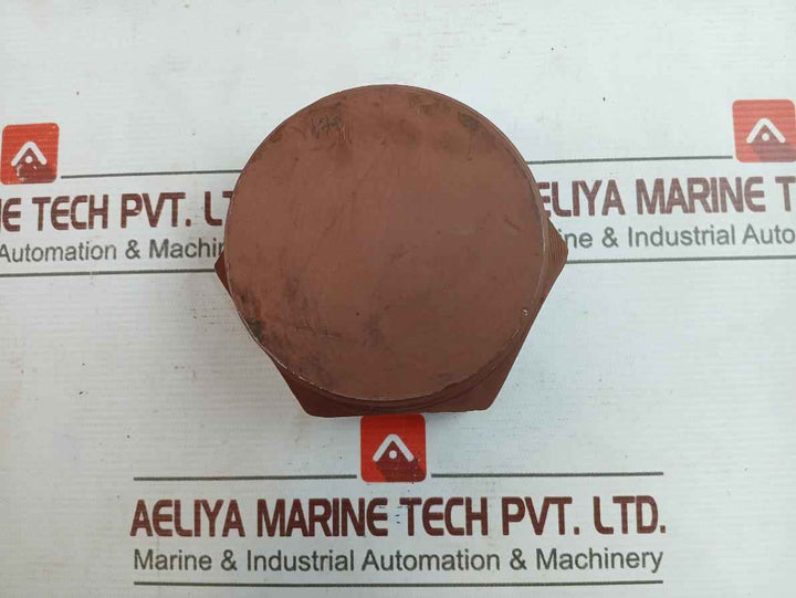 Astm A105 Esp Sch160 3 Npt Carbon Steel Plug 30146878