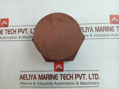Astm A105 Esp Sch160 3 Npt Carbon Steel Plug 30146878