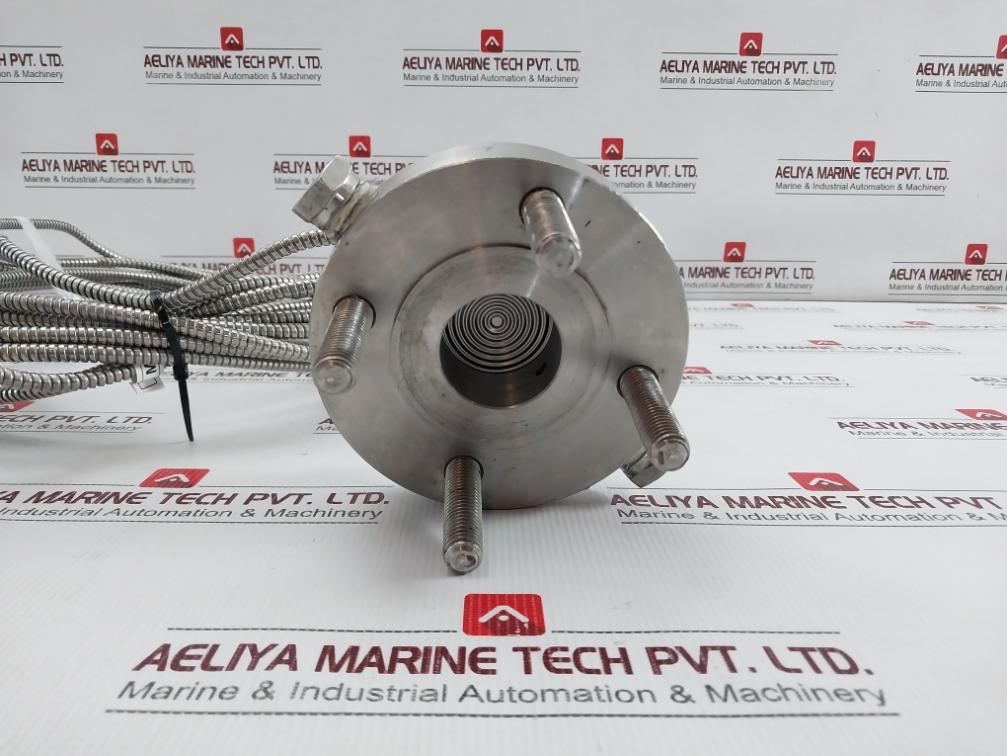 Astm A182 F316L Remote Seal Differential Pressure Transmitter